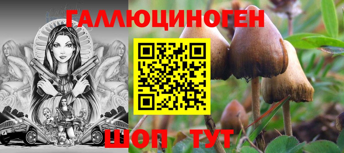 Псилоцибиновые грибы Cubensis  Галлюциногенные грибы Psilocybe  Вход с VPN  Елизово 